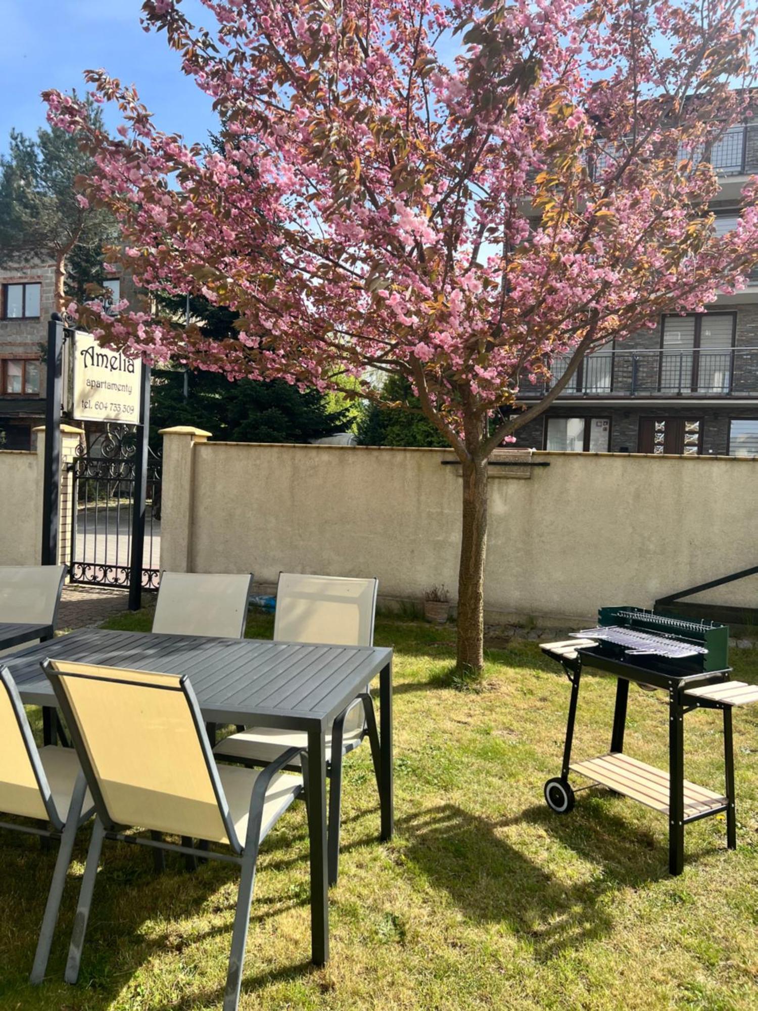 Amelia Apartamenty - Sala Zabaw, 2 Sypialnie, Garaz Podziemny Władysławowo Exterior foto
