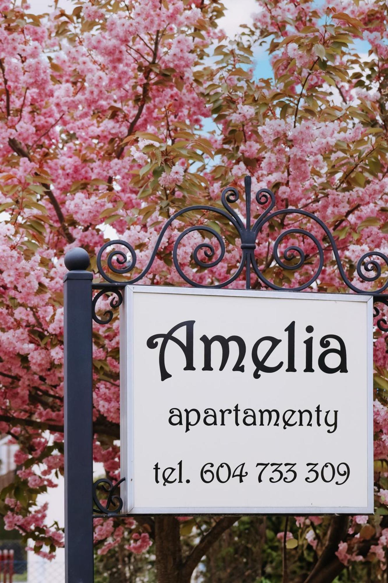Amelia Apartamenty - Sala Zabaw, 2 Sypialnie, Garaz Podziemny Władysławowo Exterior foto